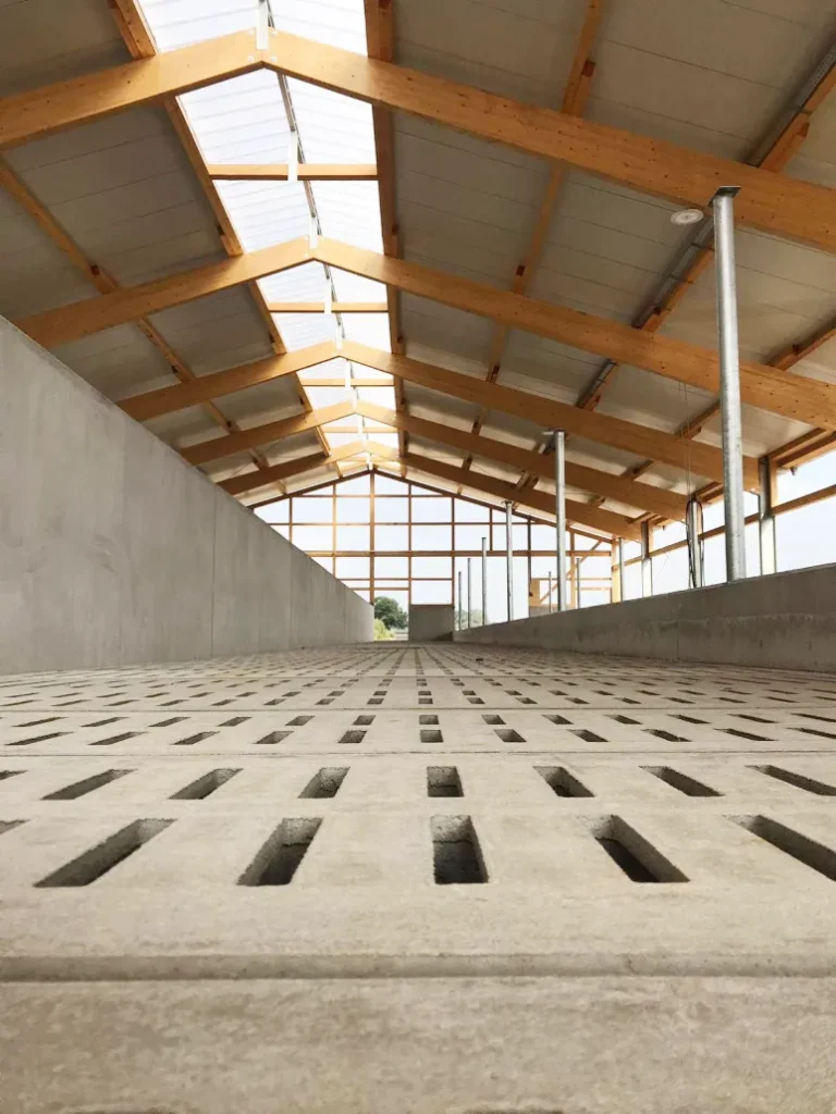 Rinderstall bzw. Kälberstall Neubau mit Spaltenboden - Rosé Kalb 2.0 Beratung