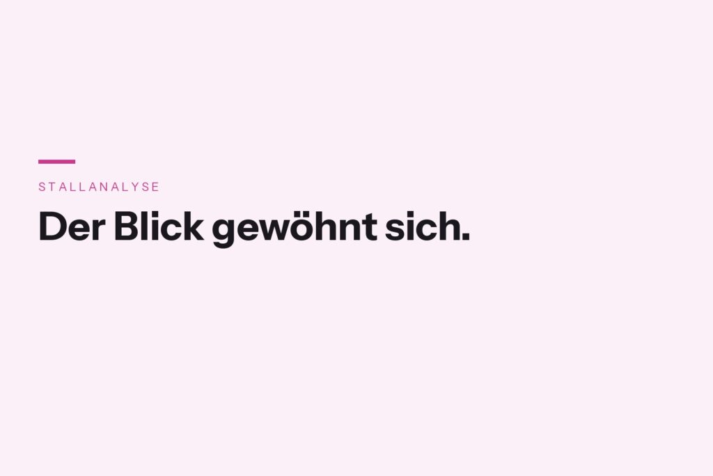 Textbild mit der Aussage: Der Blick gewöhnt sich.