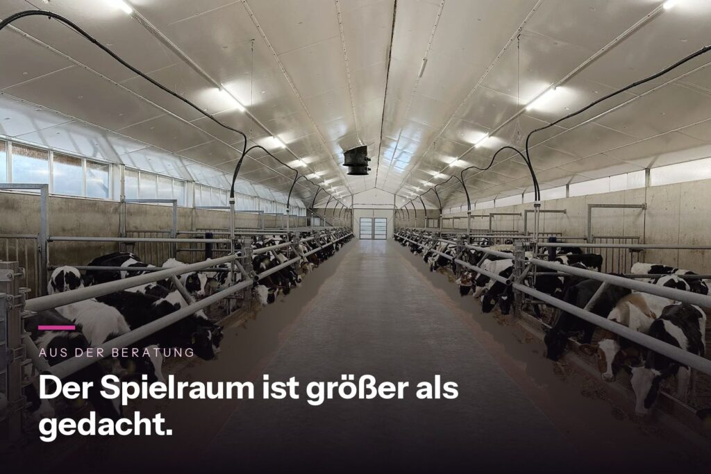 Blick durch den Mittelgang eines modernen Rosékälberstalls
