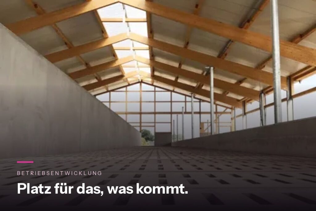 Neu gebauter Kälberstall mit Spaltenboden und Holzdachstuhl