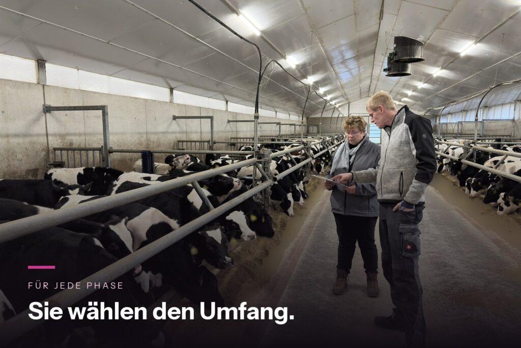 Beratungsgespräch von Rosé Kalb 2.0 im Kälberstall eines Partnerbetriebs